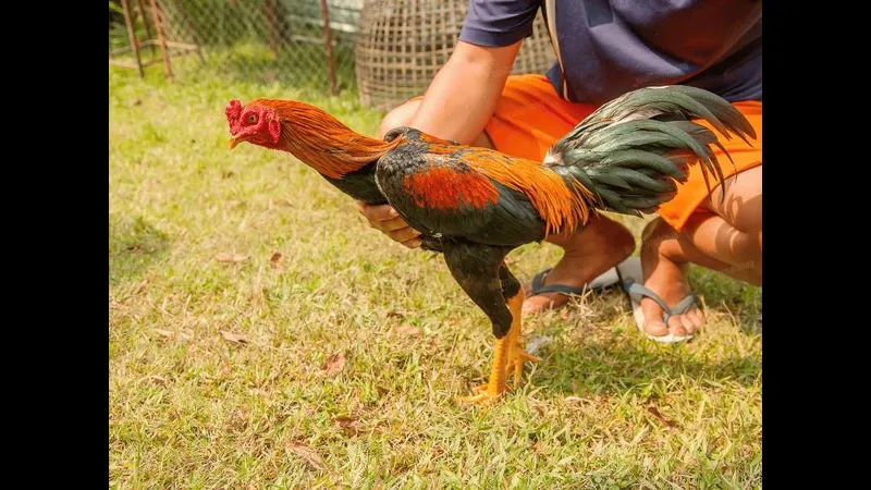 Đôi bàn tay nắm chặt lấy nhau