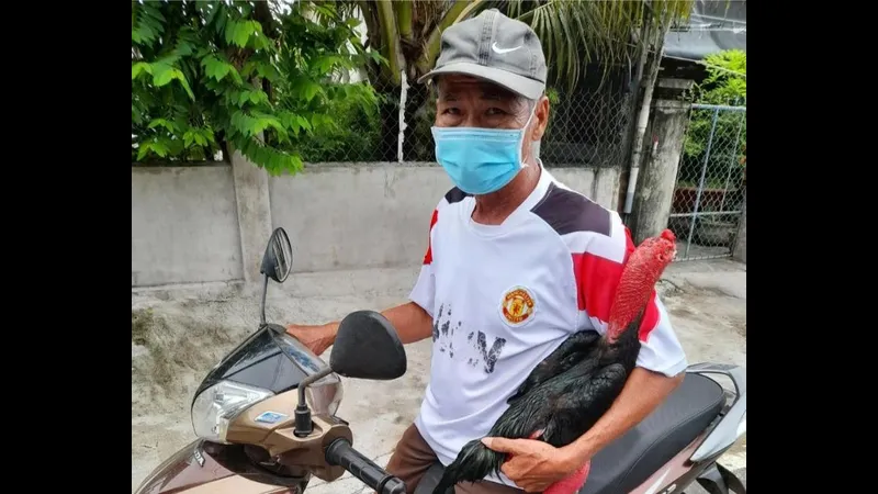 Bàn tay đặt dưới cánh chim