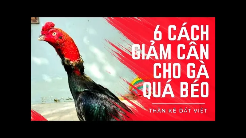 Bước 2: Sửa chế độ dinh dưỡng