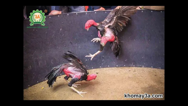 Nhóm chuyên gia SEO tối ưu nội dung