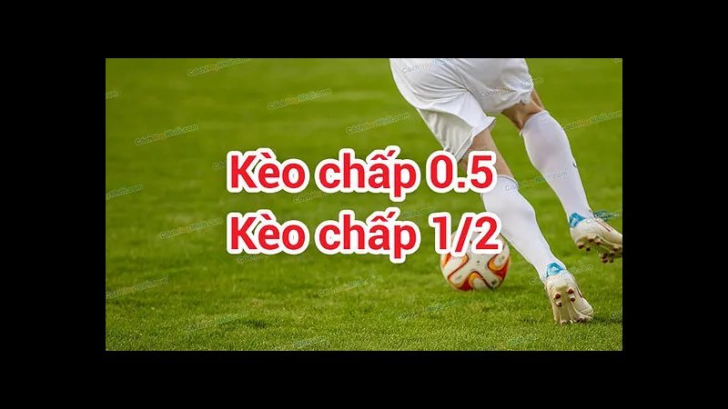 Đội cửa mạnh ổn định