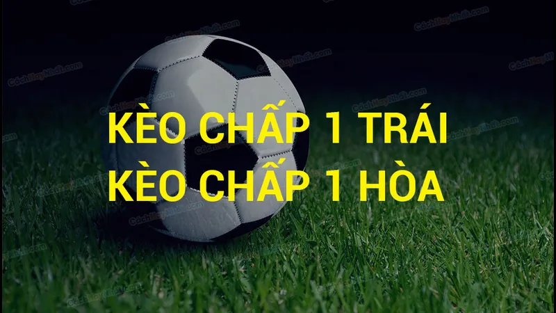 Người đặt cược thông minh