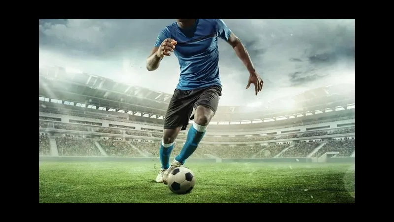 Phân tích thông tin trước khi đặt cược