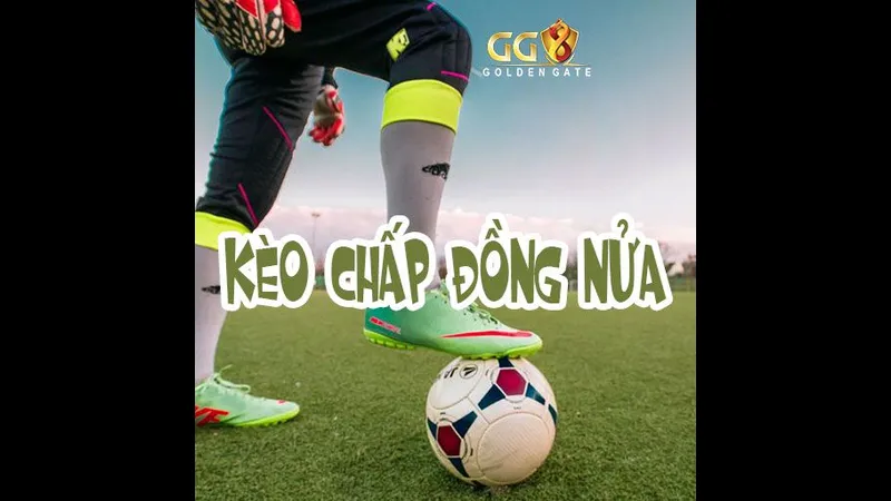 Minh họa cho kèo đồng nửa là gì