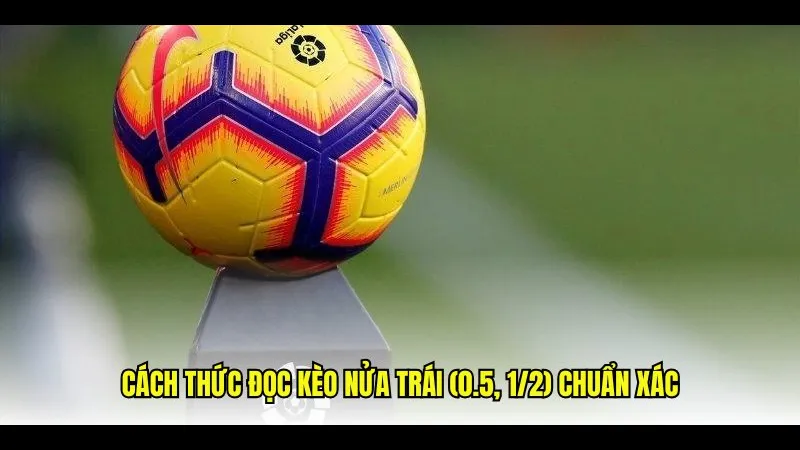 Quản lý ngân sách cược