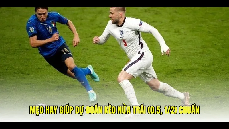 Minh họa cho Kèo nửa trái là gì