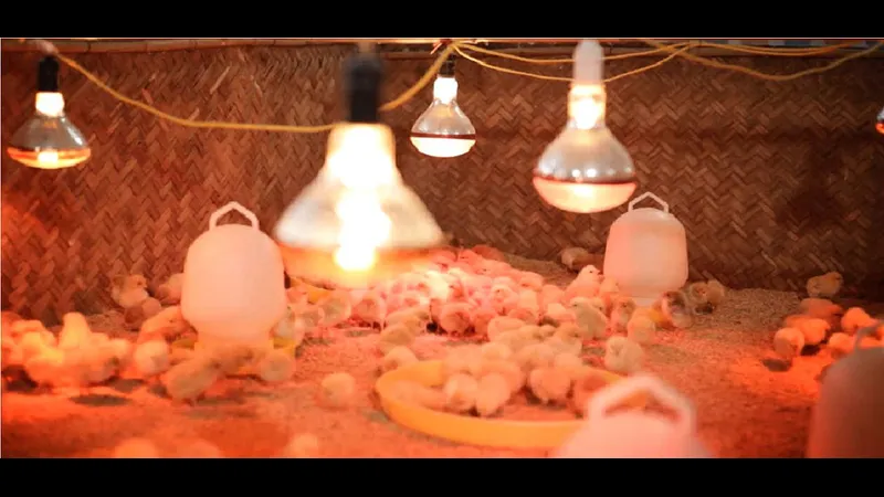 Chế độ dinh dưỡng hợp lý