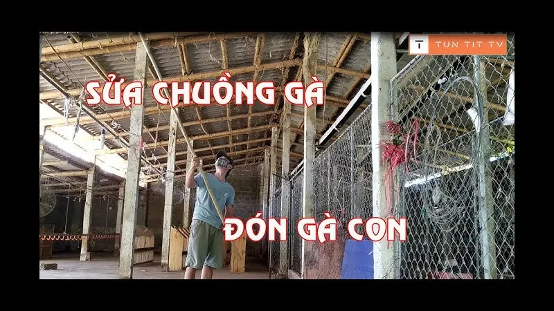 Bộ dụng cụ sửa chữa gà