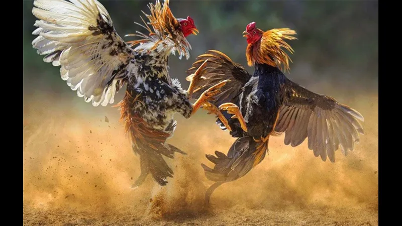 Lịch tiêm vắc-xin và tẩy giun định kỳ