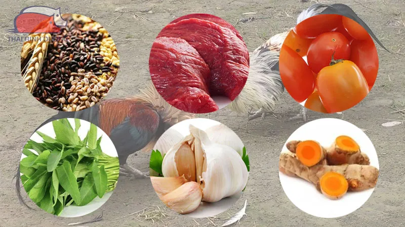 Dinh dưỡng hợp lý và cân đối