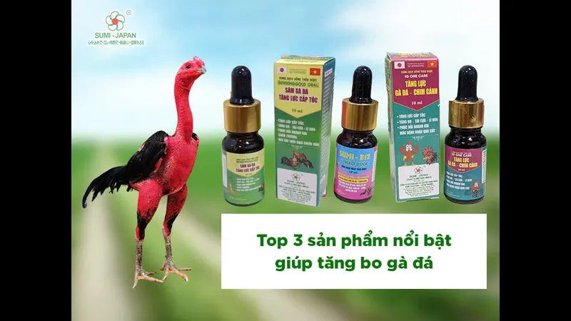 Hướng dẫn cách sử dụng thuốc cho gà