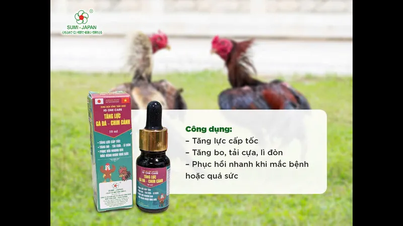 Thuốc chữa bệnh hiệu quả